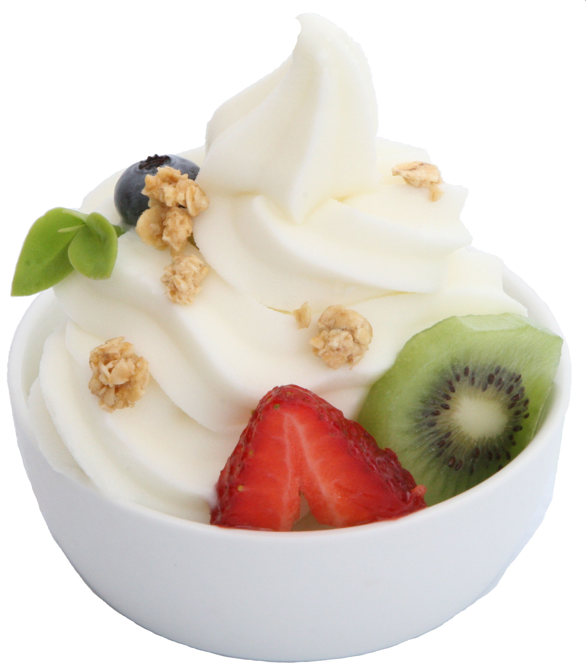 Frozen Yogurt Pulver; 1,0kg Beutel