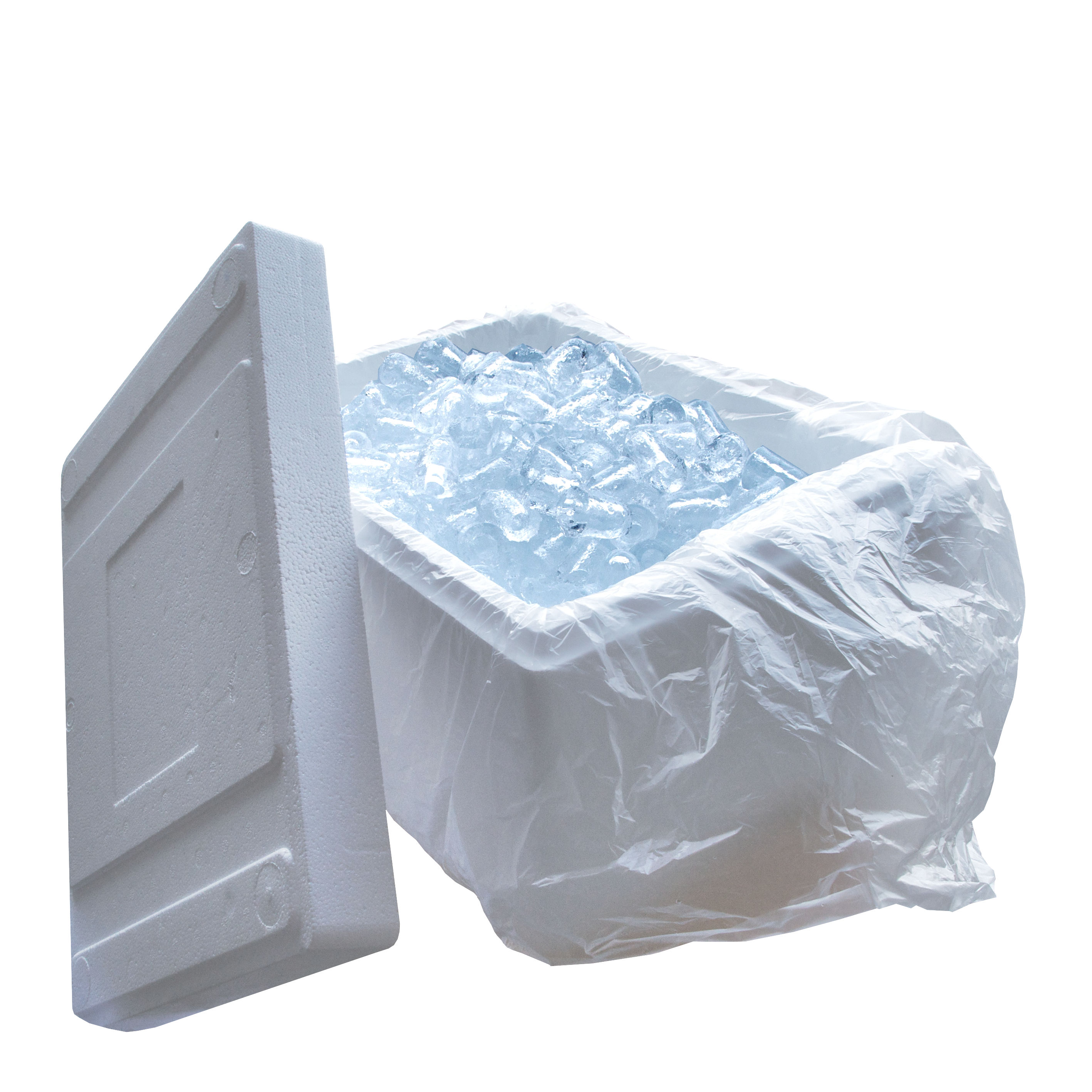 Eiswürfel in 15l Thermobox