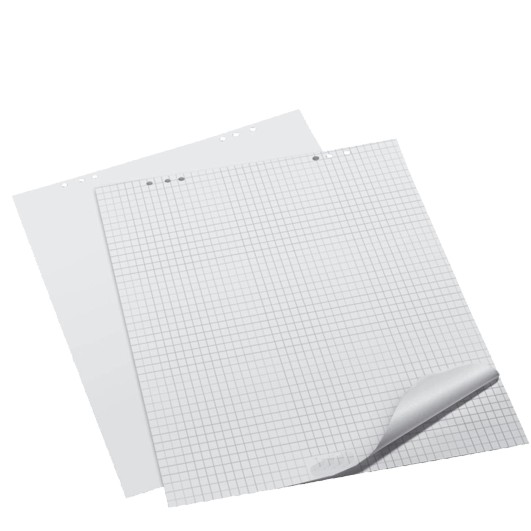 Papier kariert für Flipchart (20 Blatt)