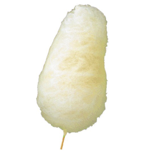 Zuckerwattenset für 100 Zuckerwatten